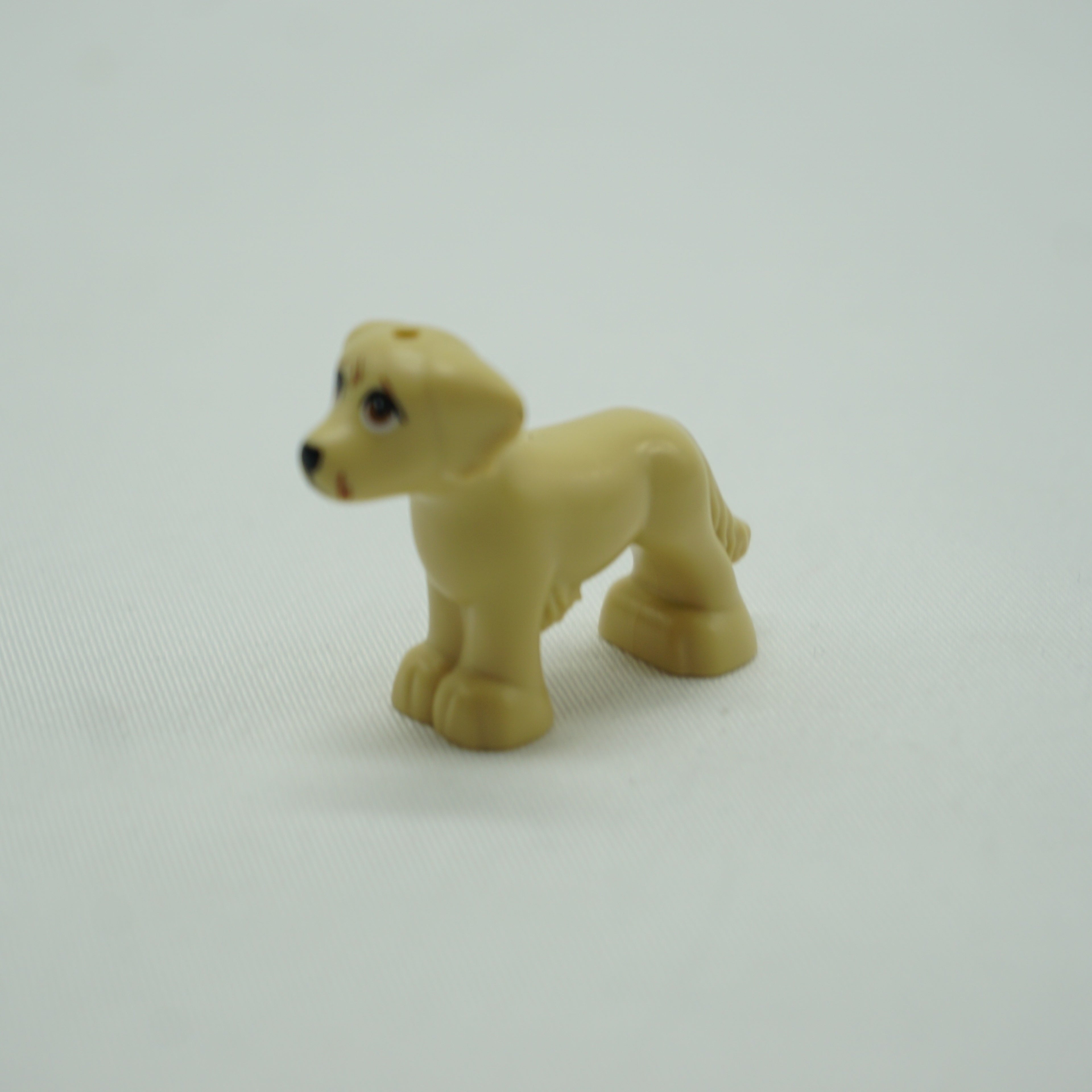 Part 3168pb03 - Dog, Friends, Shaggy Fur, Ears, and Tail with Medium Nougat Eyes and Scratches and Black Nose Pattern (Grace)