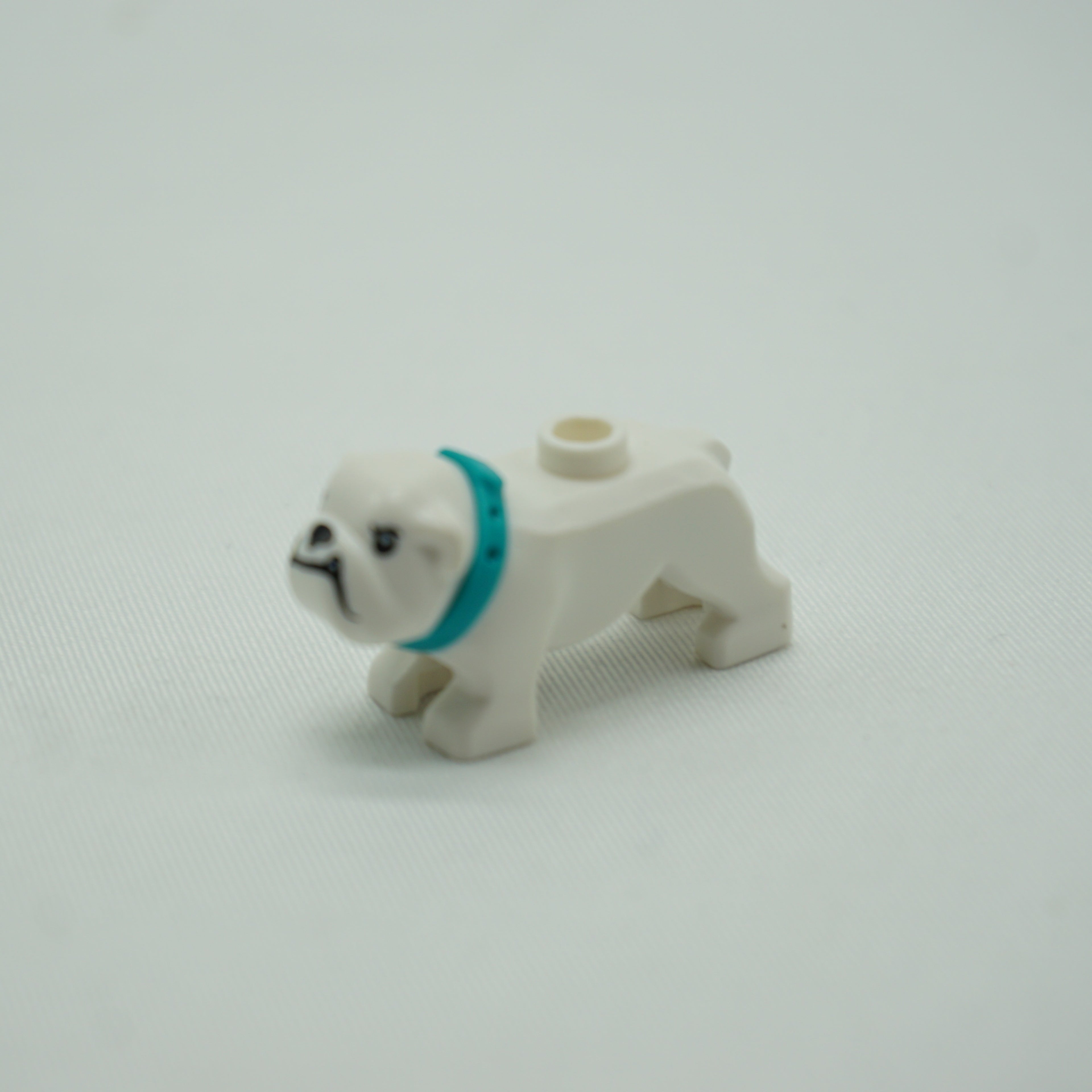Part 65388pb03 - Dog, Bulldog with Molded Dark Turquoise Collar and Printed Black Eyes, Eyebrows, Nose and Mouth, and Gold Tooth Pattern