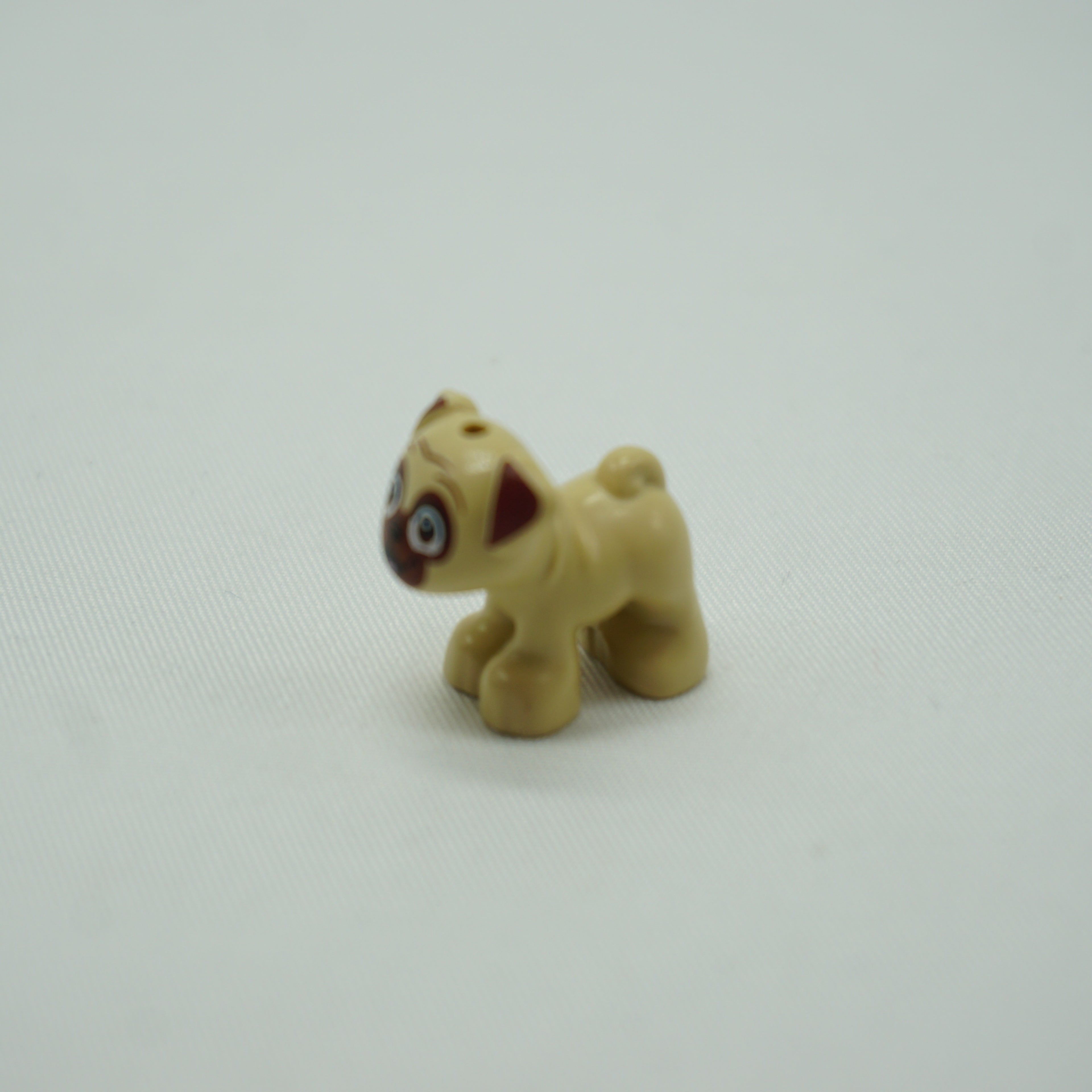 Part 24111pb07 - Dog, Friends, Pug, Standing with Reddish Brown Muzzled Face, Ears and Eyes Looking Forward and Bright Pink Tongue Pattern (Dango)
